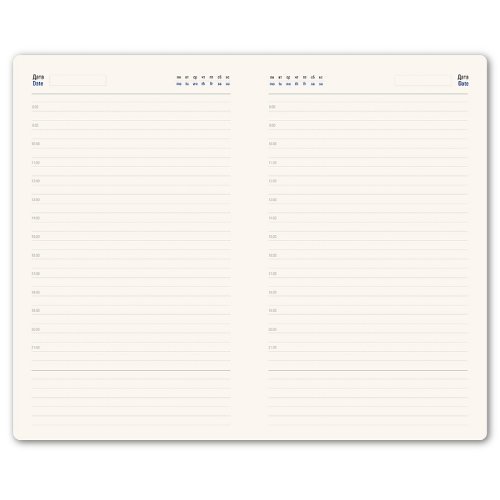 Ежедневник недатированный Linnie, формат А5,в линейку (серый)