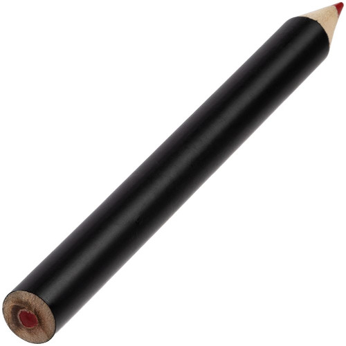 Набор цветных карандашей Pencilvania Tube Plus, черный