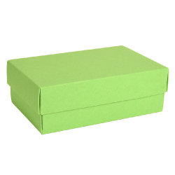 Коробка картонная, "COLOR" 11,5*6*17 см; зеленое яблоко (светло-зеленый)
